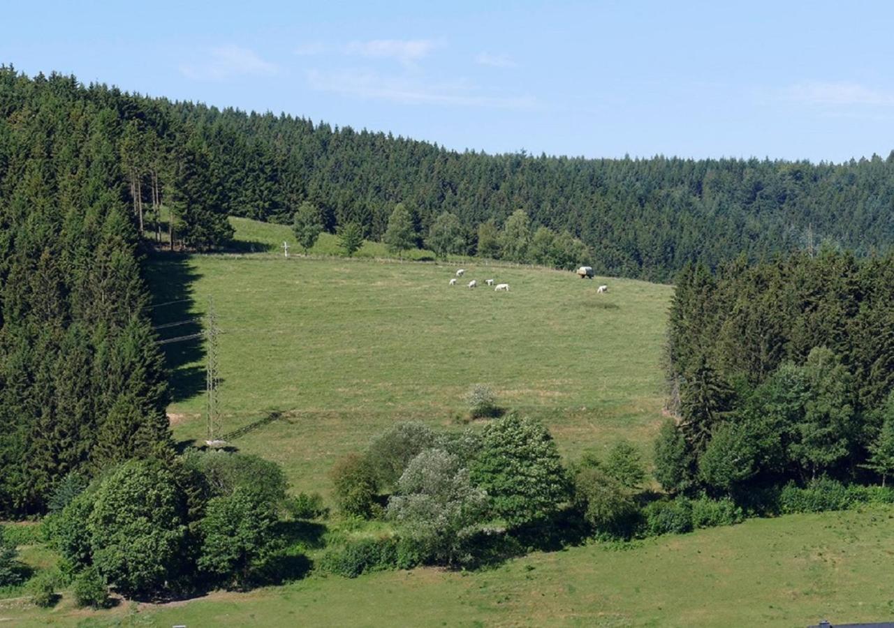 Hotel Suedhang Niedersfeld Экстерьер фото